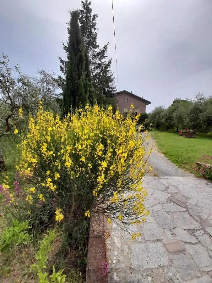 קיאנצ'נו טרמה Agriturismo Campo Contile בית חווה
